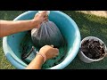 How To Make Compost At Home (WITH FULL UPDATES)