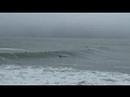 Surfing at Fort Point, CA