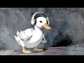 Lofi Duck - Relaxing Lofi Hip Hop: Study, Sleep, and Chill Beats