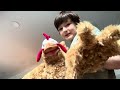 New Chicken puppet!