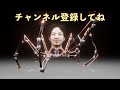 キムさんEnglish『aとthe の違い』