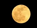 Full Pink Moon April 23, 2024 - Orange Sky Captures
