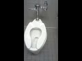 Five minutes and fifty seconds of a toilet flushing continuously