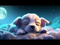 Peaceful Sleep In 3 Minutes, Fall Asleep Fast - Sleep Music for Deep Sleep - No More Insomnia