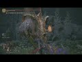 ELDEN RING_Tree Sentinel Boss fight