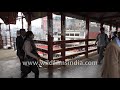 Bangladesh streets people walking on the footbridge