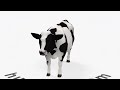 Horizontaly Rotating cow