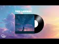 Tres Lagrimas (guitar cover) | Romantic Guitar Music ❤️The Best Guitar Melodies, nostalgic songs