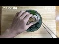 How to Make Abalone Sashimi【English subtitles】