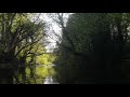 River relaxation. 20 minutes of waterfall and a swimming dog.