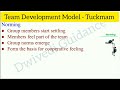 Team Building in organisational behaviour, Tuckman Model of Team Development, process of team build