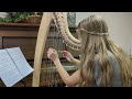 In The Quiet Alone by David Nevue: Beginner Harp