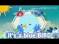 The INTRO! | its a blue BIRD