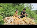 Harvest Corn And Bring It Home To Store, My Daily Life- Lý Thị Nhâm
