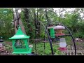 Bird feeder Stream