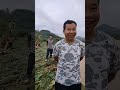 thương miền Trung quá @#giapvlogs