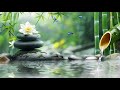 Relaxing Piano Music Bamboo & Water Sounds - Ideal for Stress Relief and Healing #2