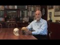 Starchild Skull Part 1 - LLOYD PYE #alien #mystery #skull #conspiracy #aliens