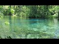 A Peaceful Morning by the Clear Waters of Silver Springs