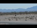 R1 ride by Chuckwalla CVR Track Day May 12, 2013