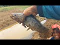 O Rio só não tinha tamanho mais peixe era tanto que saltava para fora Rio secando Pescaria caipira