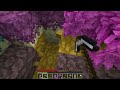 Survivre dans le Better End avec des Lucky Blocks ! Minecraft Better End Ep 1