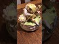 Fishing Frog music box