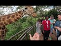 I DIDN'T EXPECT TO FIND THIS IN NAIROBI! 🇰🇪 Safari in Kenya