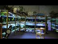 Incredible Hand Built Aquarium Store | Full Tour