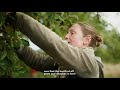 Agroforestry in UK & Sweden - with Philipp Weiss, Martin Wolfe, Martin Crawford, Johanna Björklund