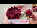 Sugar Peony Flower Tutorial // Making a Peony Bud // With Finespun Cakes