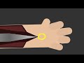 Assassin's Creed Hidden Blade Mechanism Animation - Stick Nodes