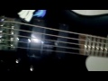 Ponies on da Bass (random vid)