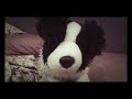 doggo plush jumpscare (SUPER SCARY😱😱😱😱😱)