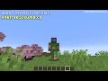 Minecraft 1.20.5 Snapshot 24W10A | 8 New Wolves & Custom Banners!