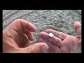 Metal Detecting Huntington Beach 2021  Early Morning Treasure Hunting finds silver & coins