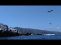 Dinghy Pass by Bird Rock Catalina Island California