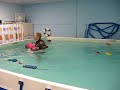 Doberman Pinscher Dog Swims for First Time with Life Vest!