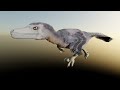 Raptor run cycle rendered