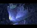 Fall into Sleep in 5 Minutes with Heavy Rain & Thunder Intense Sounds on Tin Roof in Forest