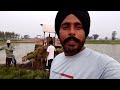 ਝੋਨੇ ਦਾ ਲਾਸਟ ਦਿਨ#harpinder goraya #