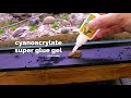 Aquascape Tutorial: NEON GREEN RASBORA Aquarium (How To - Planted Tank Step by Step Build)