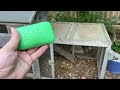 Remedies to Keep Flies Out of Your Chicken Run!