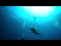 Luz Agua - 4K Sony a6300 Underwater