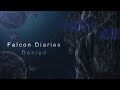 Eve Online the Falcon Diaries: Denied #pvp #NPSI