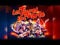 MIX TIGRES DEL NORTE VOL.1 CORRIDOS - E.MARCOSDJ