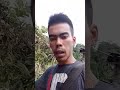 kita pergi liat kebun dulu