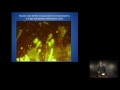 A new model for the origin of life - Bruce Damer and Dave Deamer (SETITalks)