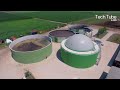 Wonderful Water Buffalo Farming | Amazing Buffalo Dairy Farm Modern Technology