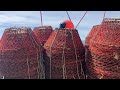 A few clips of the 2024 Newfoundland Crab season